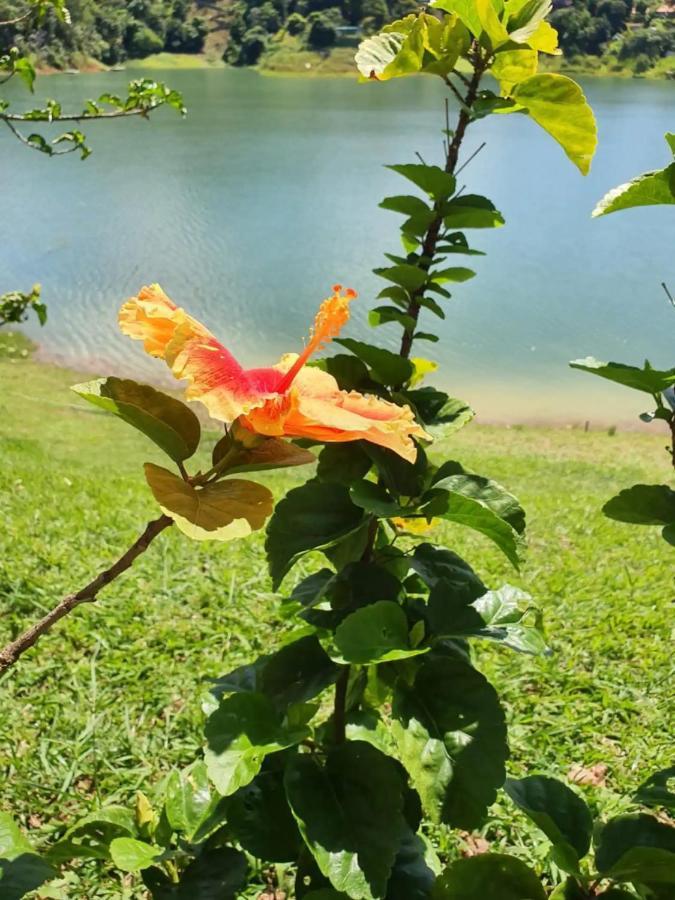 Villa Maravilhoso Sitio Na Beira Da Represa à Igaratá Extérieur photo